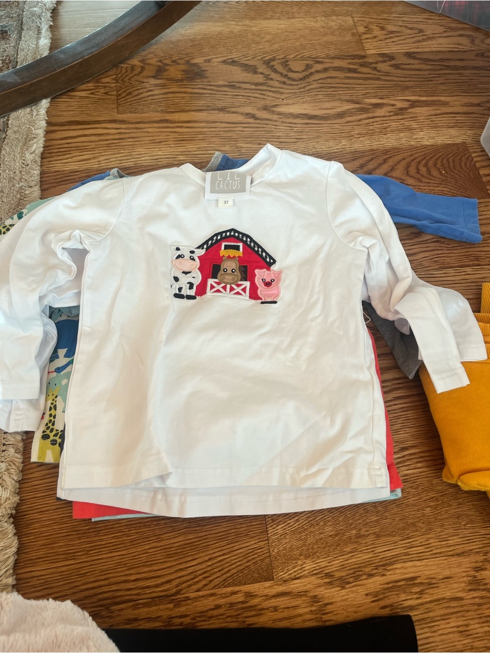 Cactus White Long-Sleeve Tee with Farm Animal Barn Appliqué